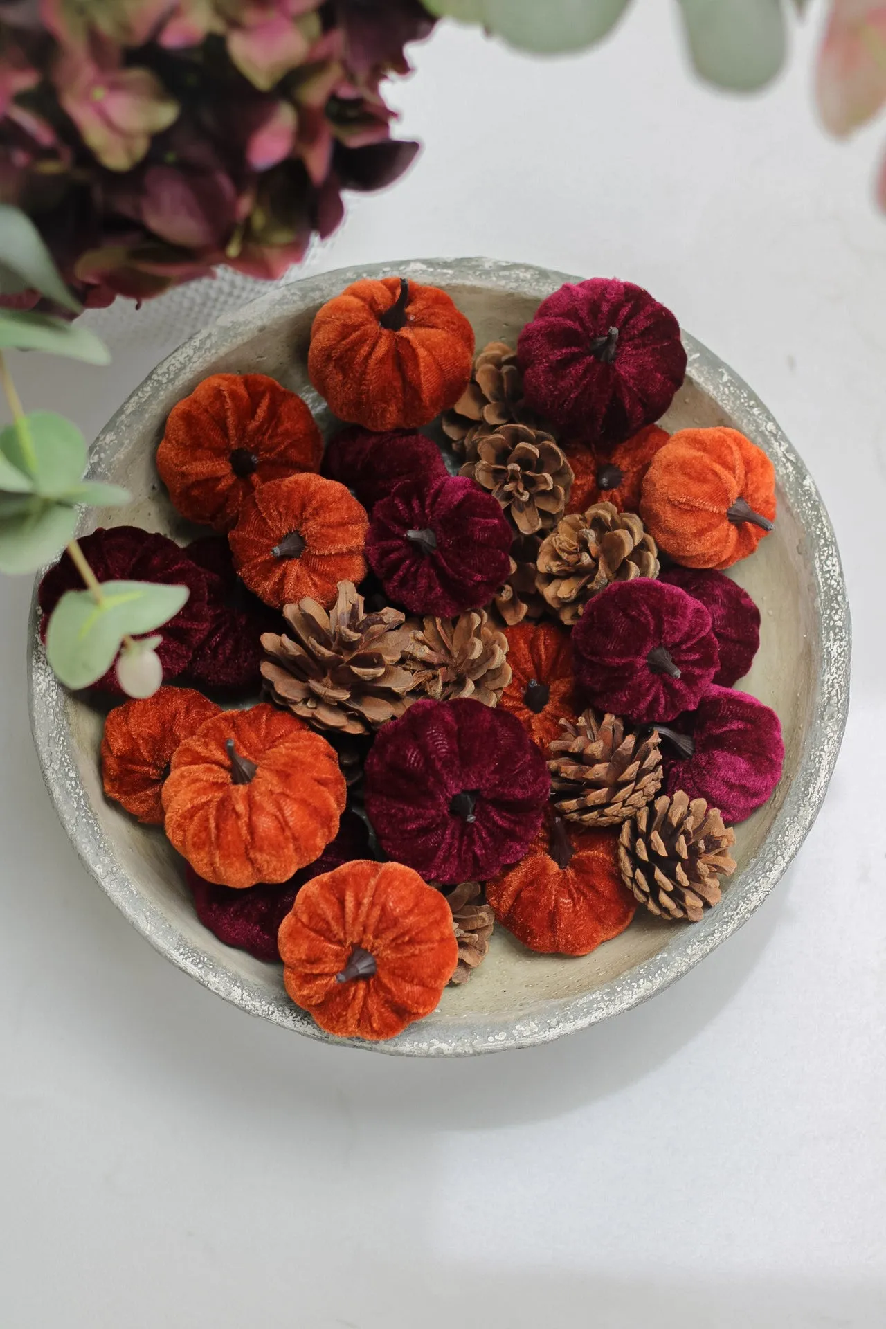 Box of Velvet Pumpkins & Pinecones