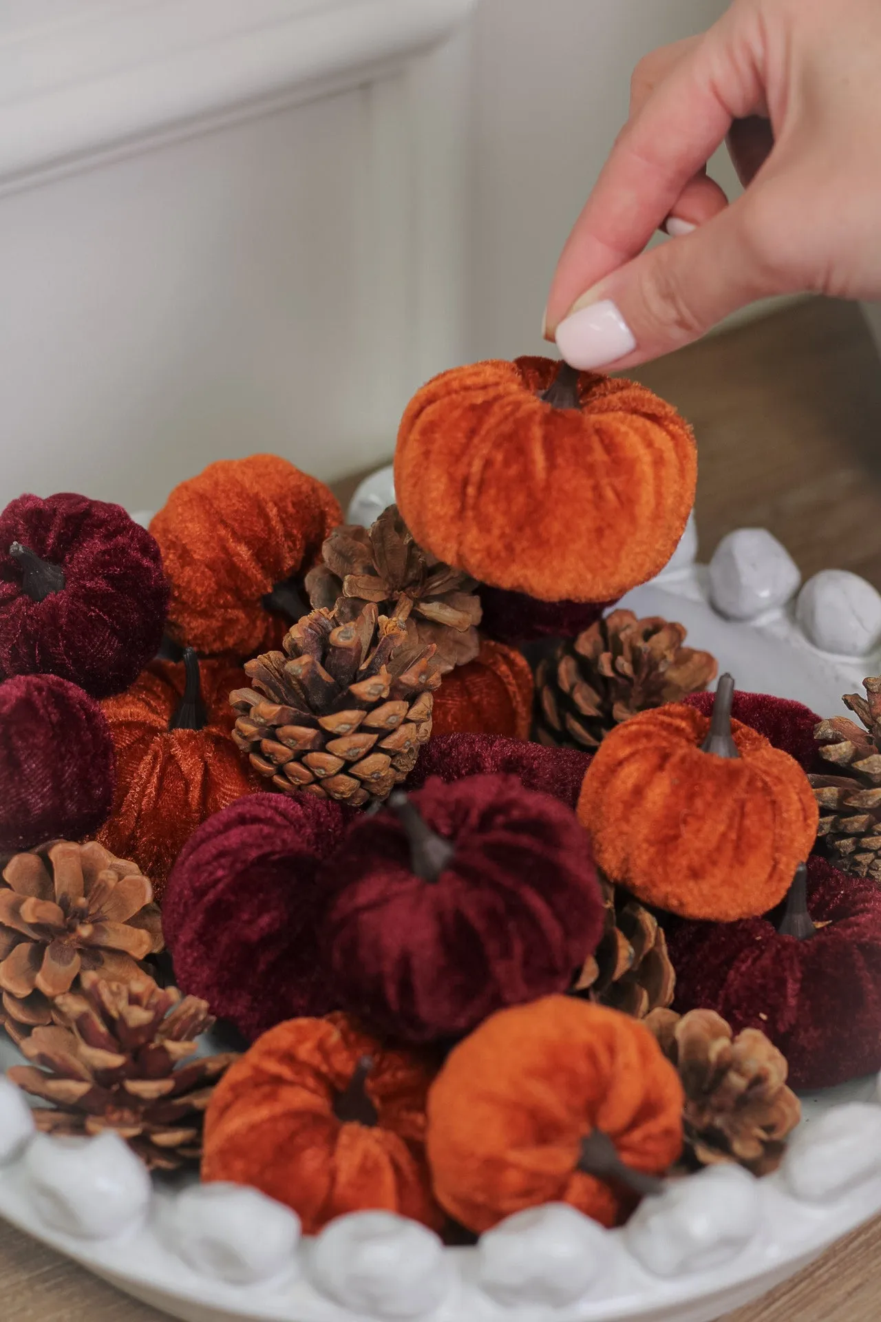 Box of Velvet Pumpkins & Pinecones