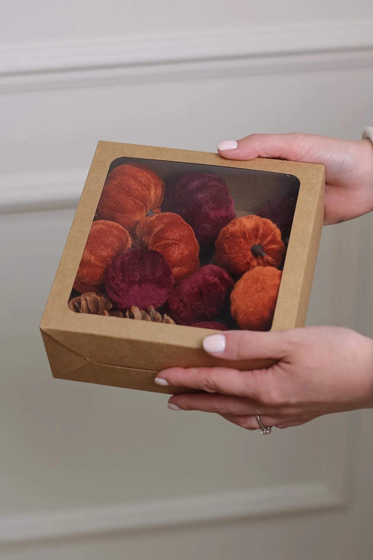 Box of Velvet Pumpkins & Pinecones