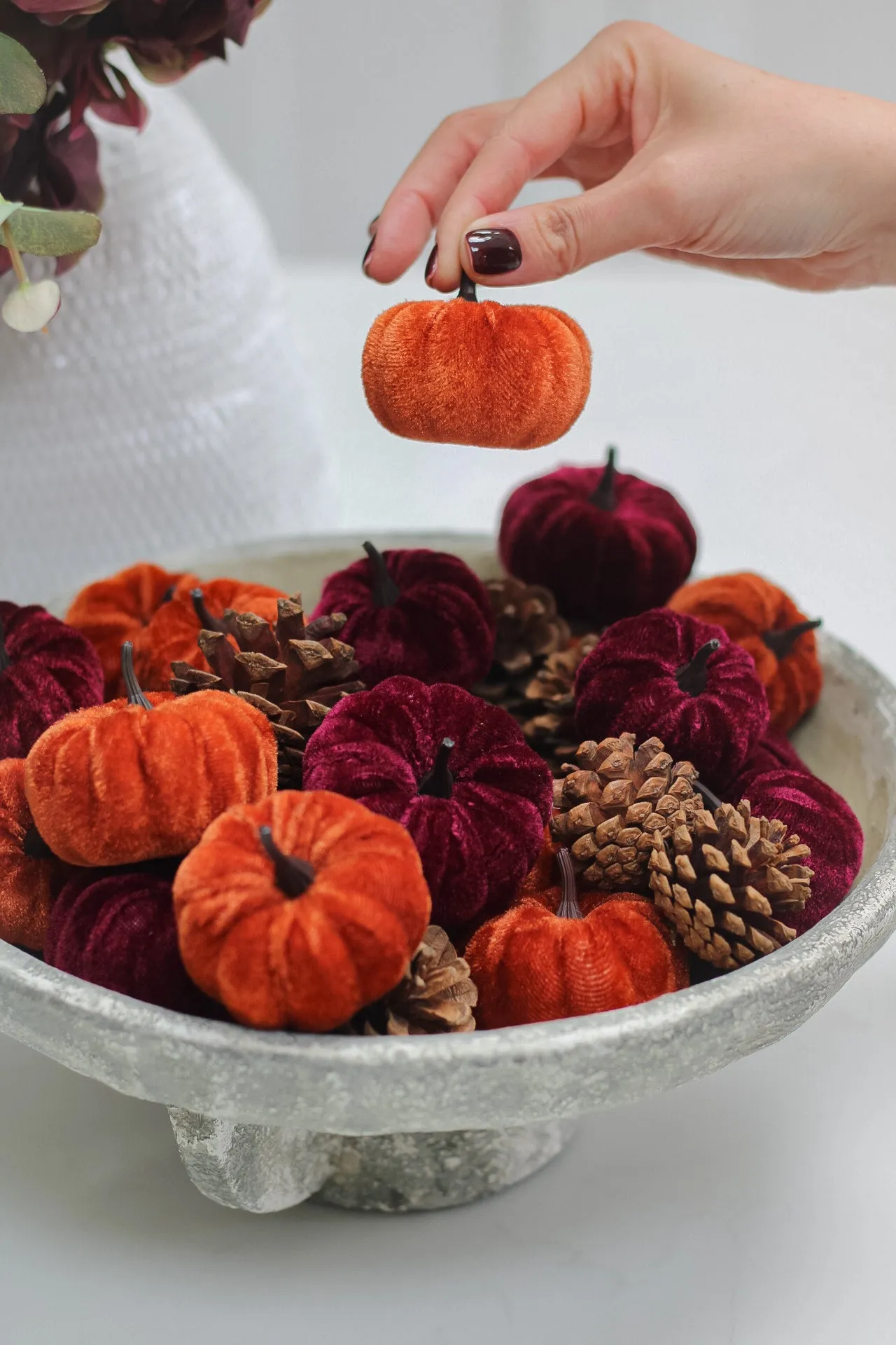 Box of Velvet Pumpkins & Pinecones