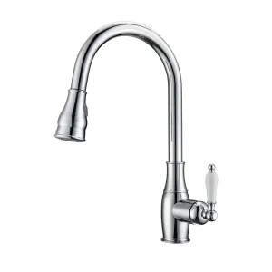 Caryl Single Handle Kitchen Faucet with Single Handle 3