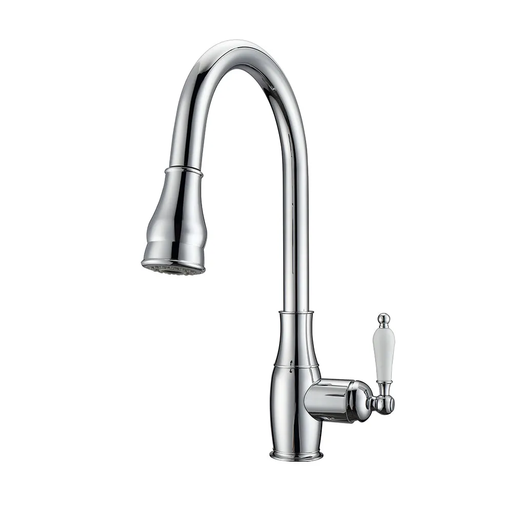 Caryl Single Handle Kitchen Faucet with Single Handle 3