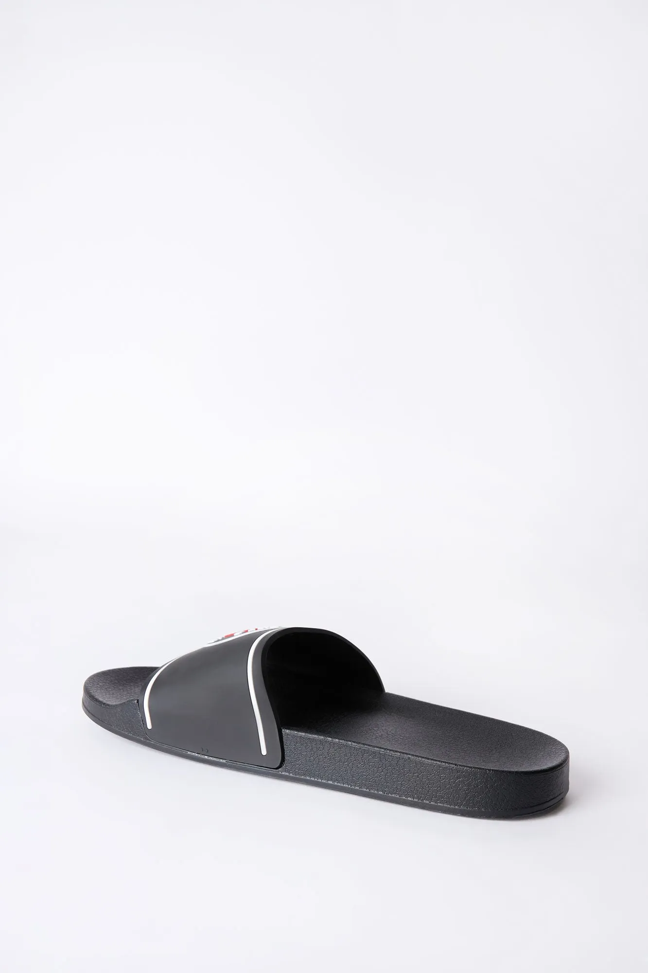 Toronto Raptors Slides